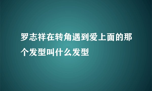 罗志祥在转角遇到爱上面的那个发型叫什么发型