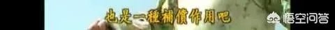 《还珠格格》的尔泰喜欢小燕子吗?