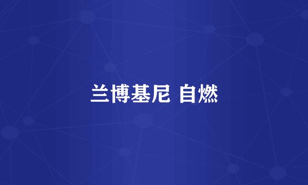 兰博基尼 自燃