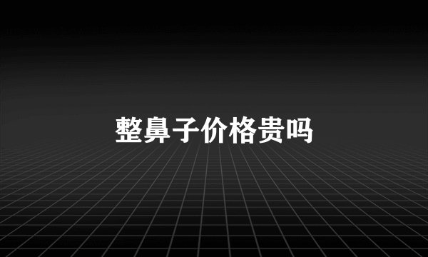 整鼻子价格贵吗