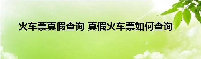 火车票真假查询 真假火车票如何查询