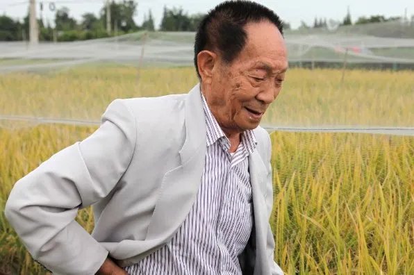 袁隆平团队创盐碱地水稻高产新纪录!他还破过哪些记录?