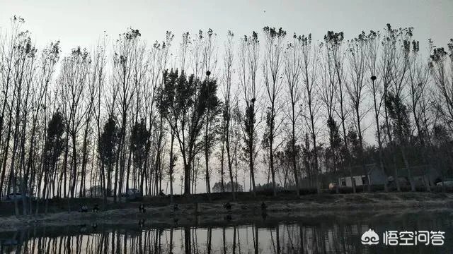 哪里有比较幽静的钓鱼的地方?