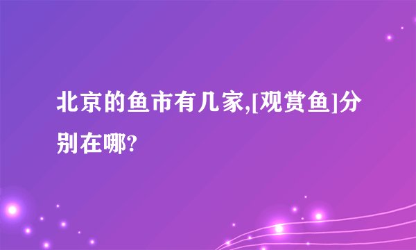 北京的鱼市有几家,[观赏鱼]分别在哪?