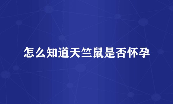 怎么知道天竺鼠是否怀孕
