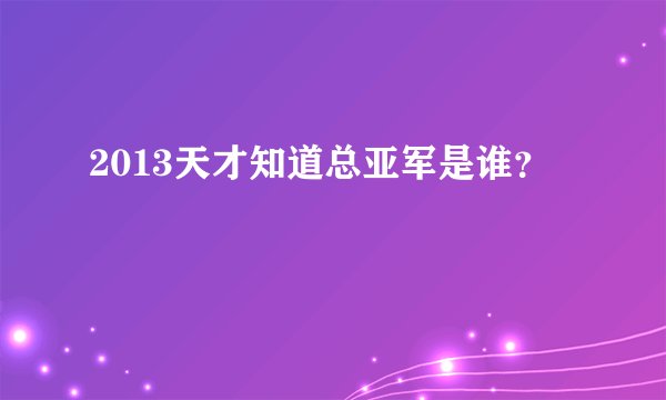 2013天才知道总亚军是谁？