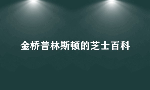 金桥普林斯顿的芝士百科