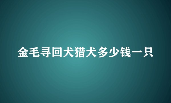 金毛寻回犬猎犬多少钱一只