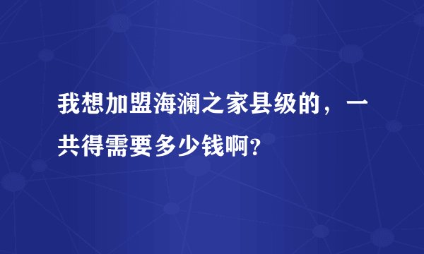我想加盟海澜之家县级的,一共得需要多少钱啊?