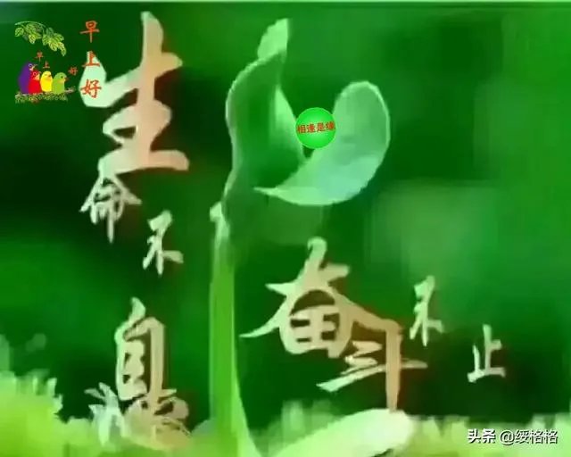 为什么说伊能静很旺丈夫秦昊?