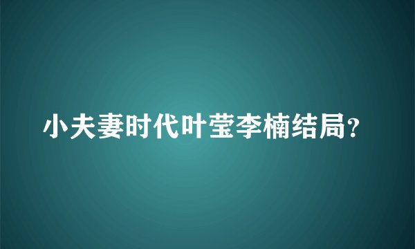 小夫妻时代叶莹李楠结局?