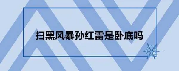扫黑风暴中孙红雷是卧底