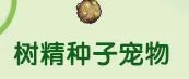 DNF宠物怎么进化