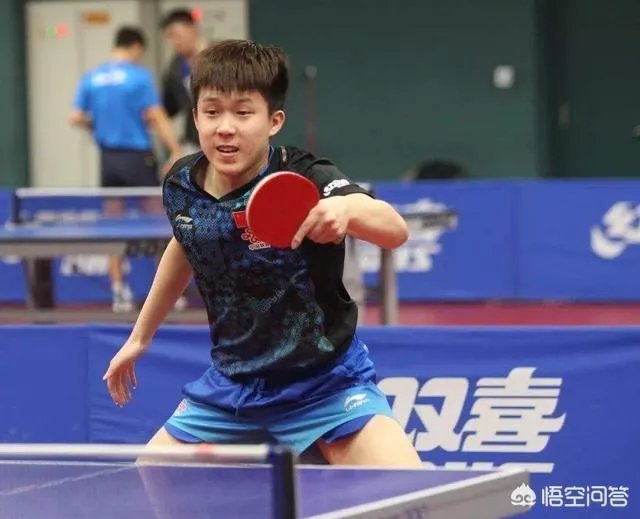 2020卡塔尔公开赛男子单打种子选手都有谁,樊振东、许昕、马龙是几号种子?