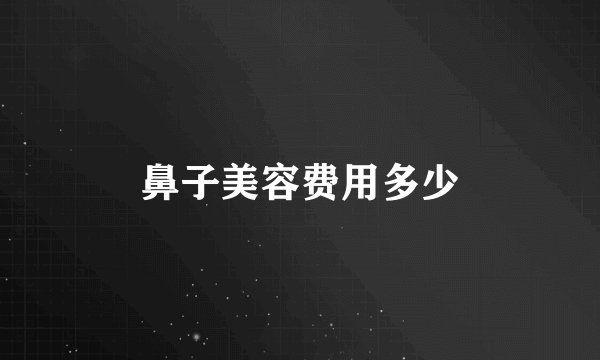 鼻子美容费用多少