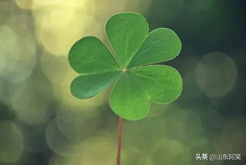有什么惊艳的句子?