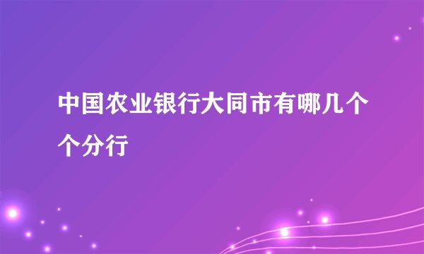 中国农业银行大同市有哪几个个分行