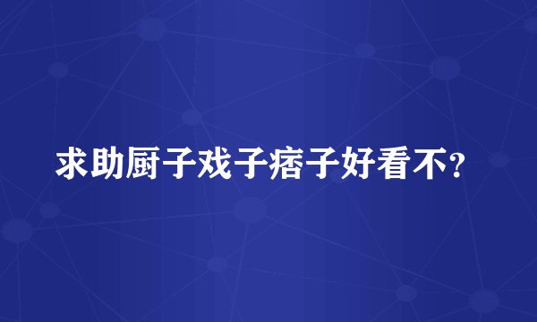 求助厨子戏子痞子好看不？