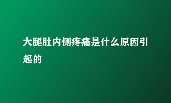大腿肚内侧疼痛是什么原因引起的