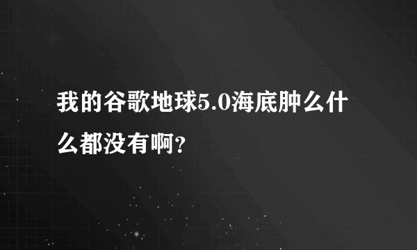 我的谷歌地球5.0海底肿么什么都没有啊?
