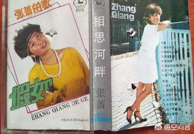 你还记得张蔷吗?还记得蔷姐唱过的那些歌吗?