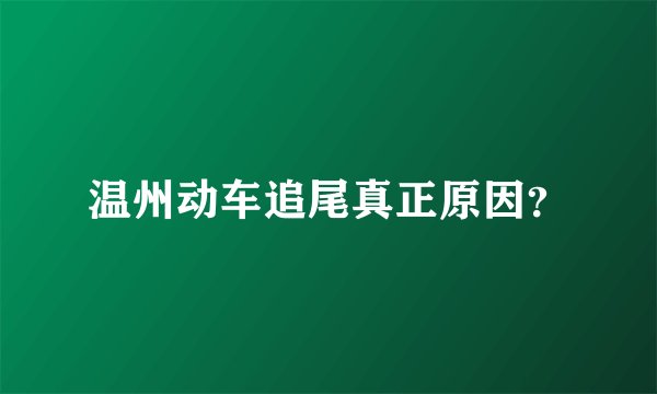温州动车追尾真正原因？