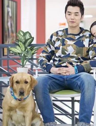 神犬小七结局是什么意思? 开放式结局留悬念
