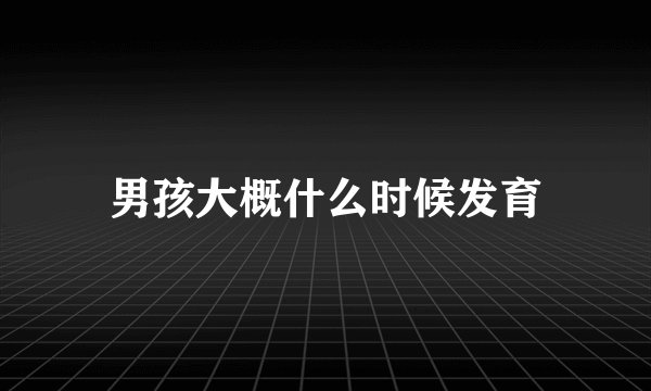 男孩大概什么时候发育