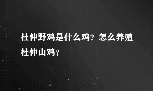 杜仲野鸡是什么鸡？怎么养殖杜仲山鸡？