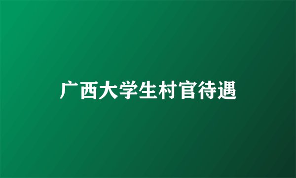 广西大学生村官待遇