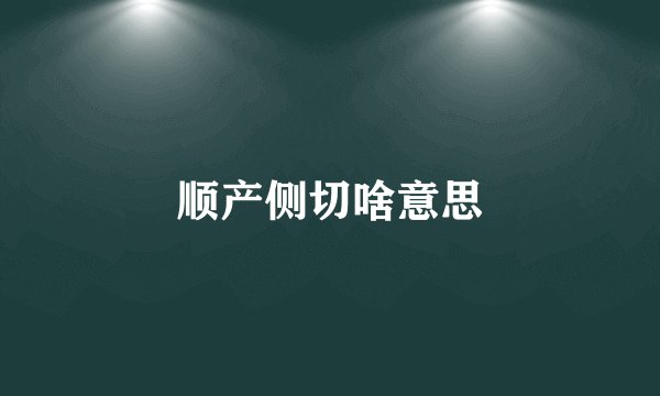 顺产侧切啥意思