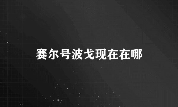 赛尔号波戈现在在哪