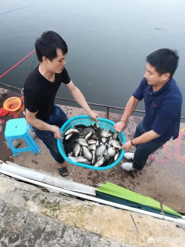 哪里有比较幽静的钓鱼的地方?