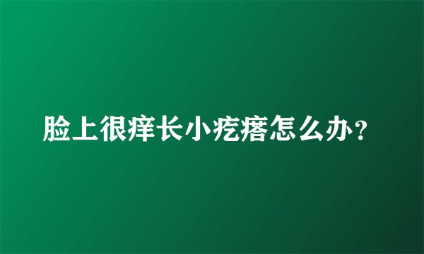 脸上很痒长小疙瘩怎么办？