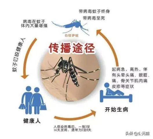 如何看待安徽通报1例登革热病例,曾有印度、缅甸、巴基斯坦等国旅居史?居民如何做好防护?
