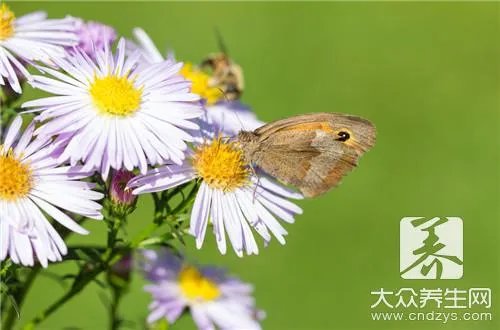 12个偏方,快速治疗湿疹且止痒
