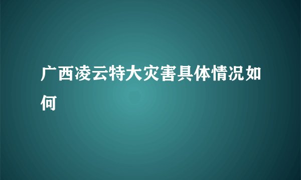 广西凌云特大灾害具体情况如何