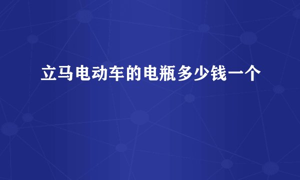 立马电动车的电瓶多少钱一个