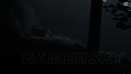 playdead inside实际含义(全收集解谜流程图文攻略)