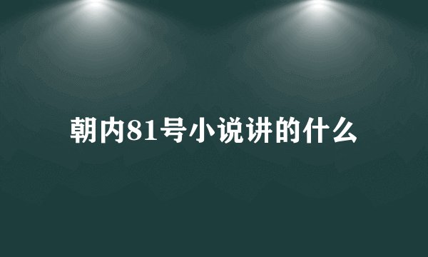 朝内81号小说讲的什么