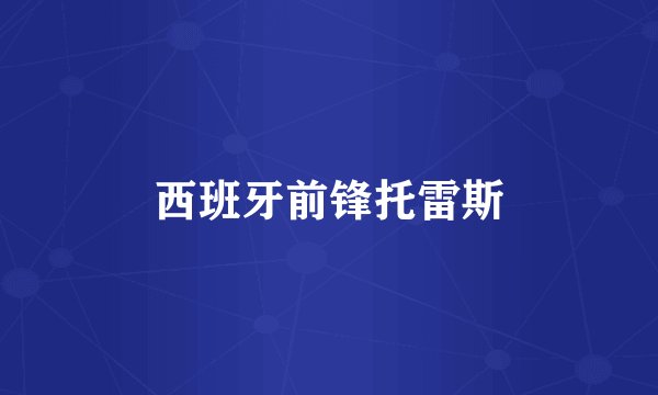 西班牙前锋托雷斯