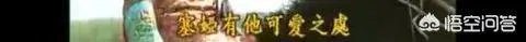 《还珠格格》的尔泰喜欢小燕子吗?