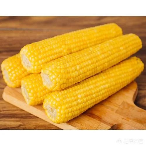 在忻州种什么品种的玉米比较好?
