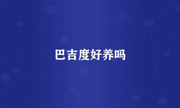 巴吉度好养吗