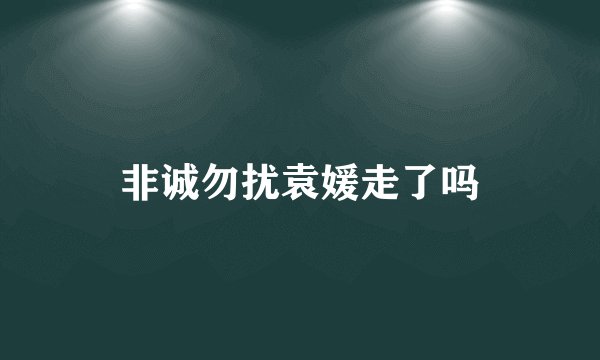 非诚勿扰袁媛走了吗