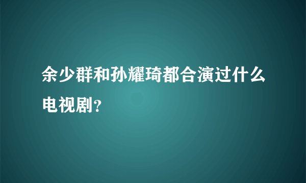 余少群和孙耀琦都合演过什么电视剧?