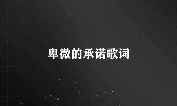卑微的承诺歌词