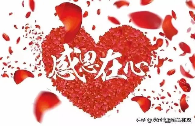 有什么惊艳的句子?