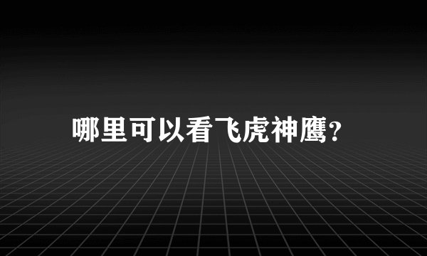 哪里可以看飞虎神鹰？