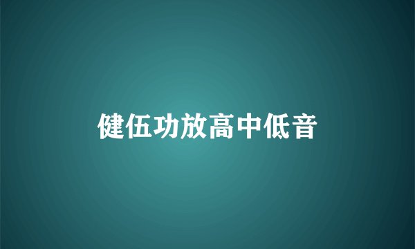 健伍功放高中低音